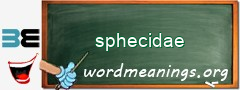 WordMeaning blackboard for sphecidae